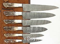EST CUSTOM MADE DAMASCUS BLADE 6Pc's. KITCHEN KNIVES SET-1071-Stag Case Roll Bag