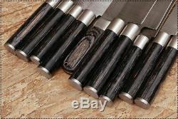 EST Professional Custom Made Damascus Chef/Kitchen Knife 10Pcs Set-17 (Roll Bag)